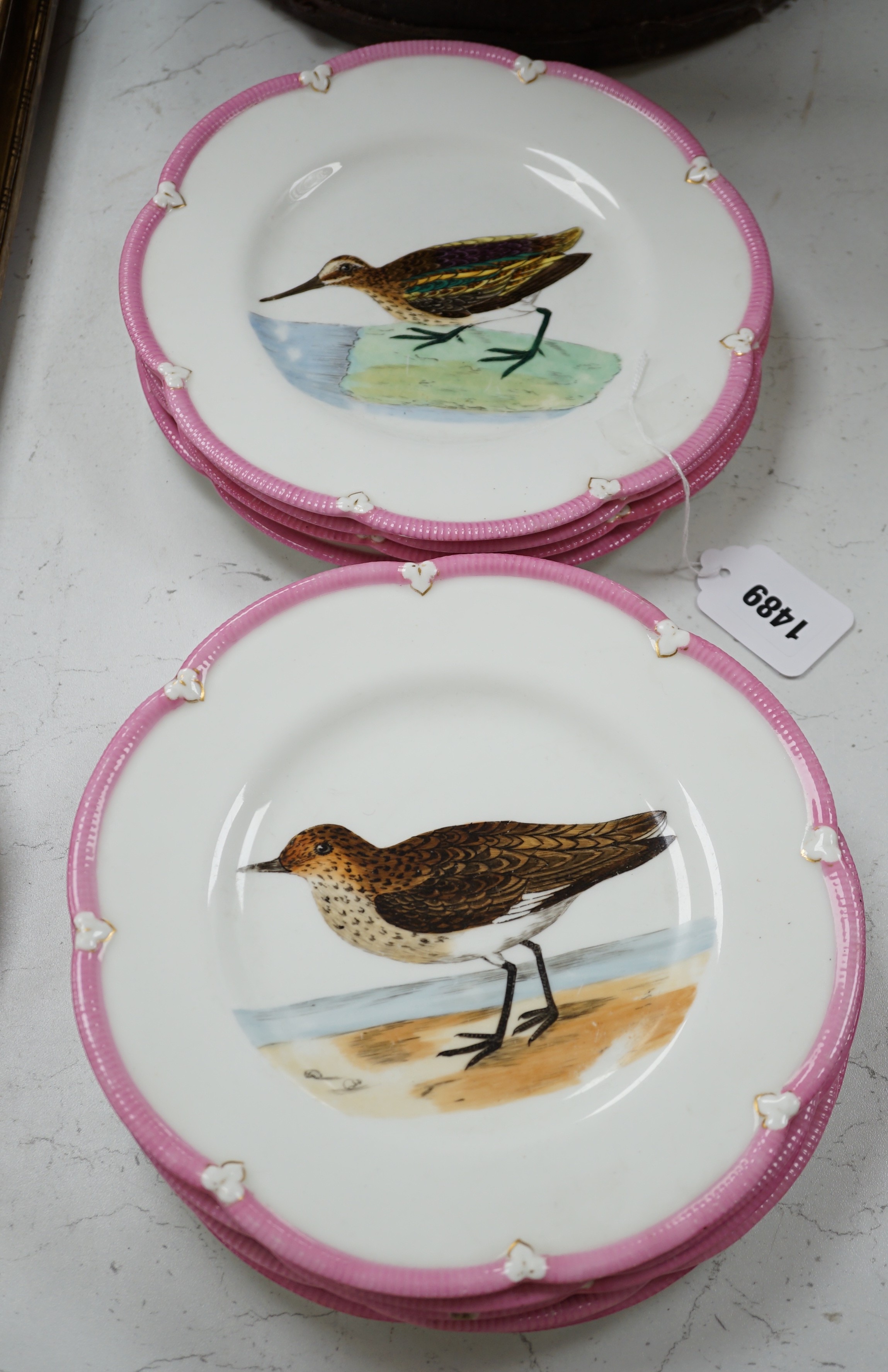 A set of nine Victorian porcelain ornithological plates, 23cm diameter